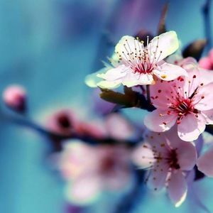 Meet your Posher, Kendal